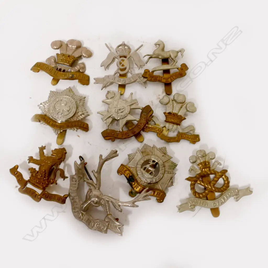 A collection of English military badges Image 1++