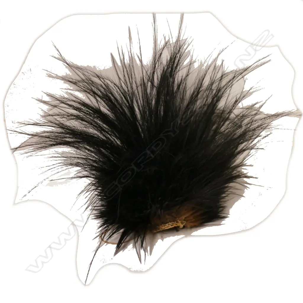 A PNG Sepik region cassowary feather headdress Image 1++