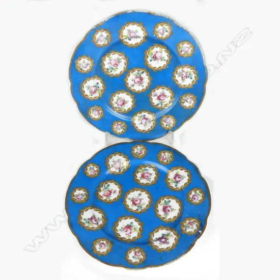 A pair of 19thC Sevres cabinet plates