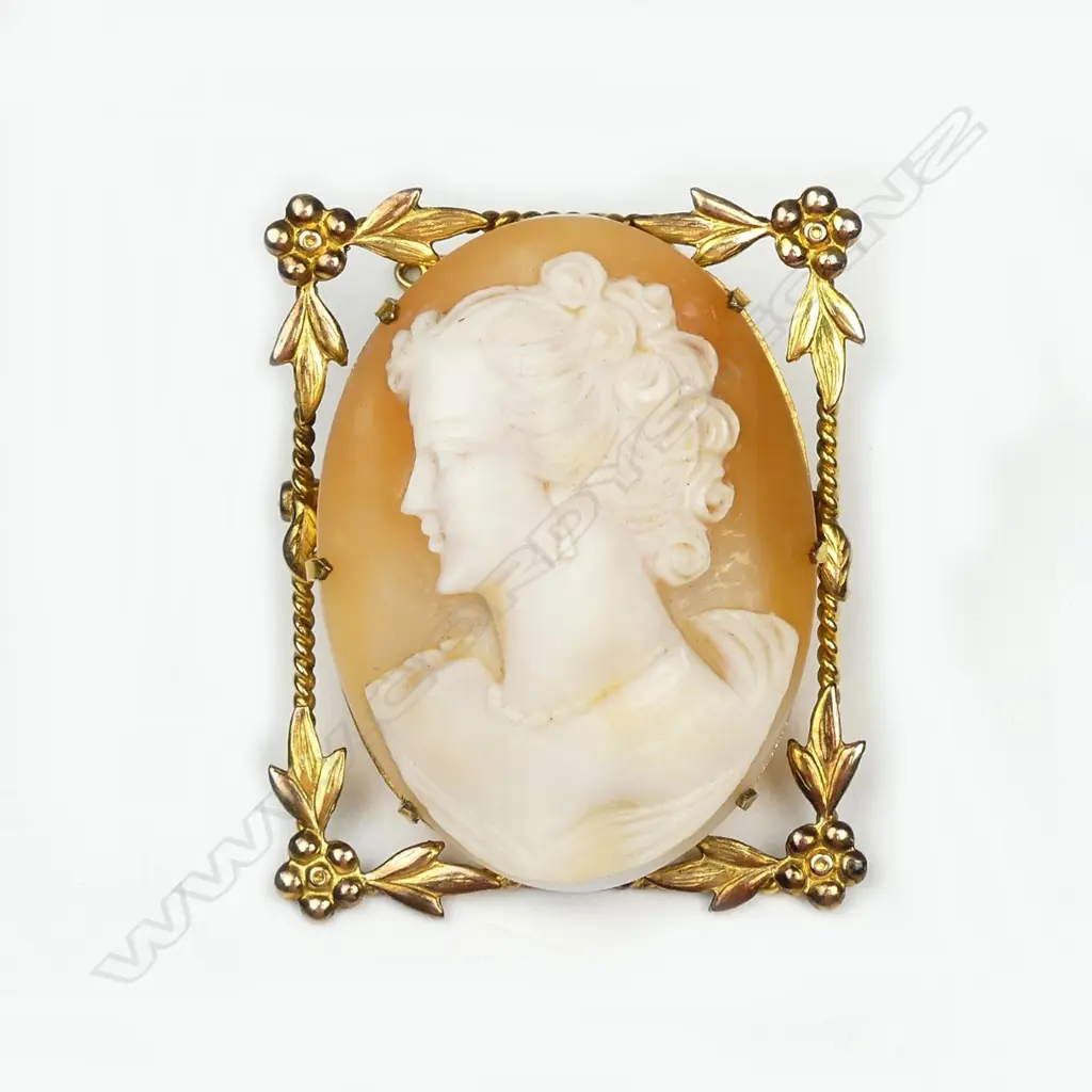 A rolled gold framed cameo portrait brooch Image 1++