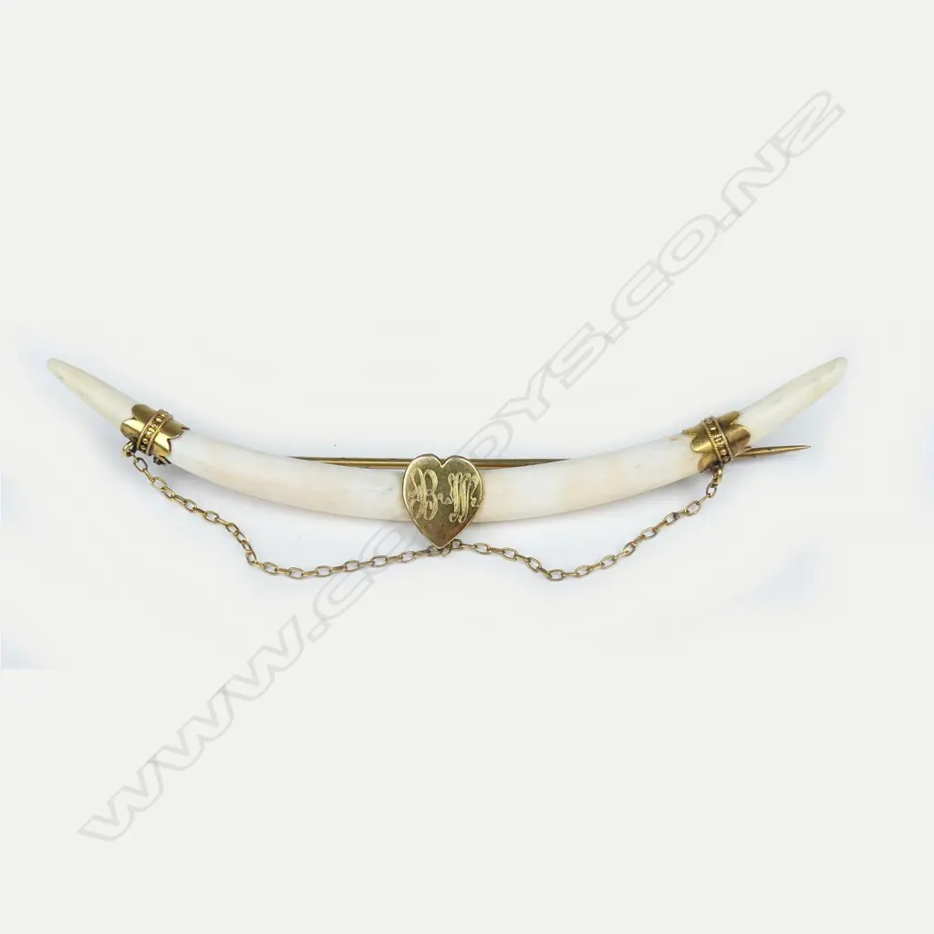 A late 19thC tusk brooch Image 1++