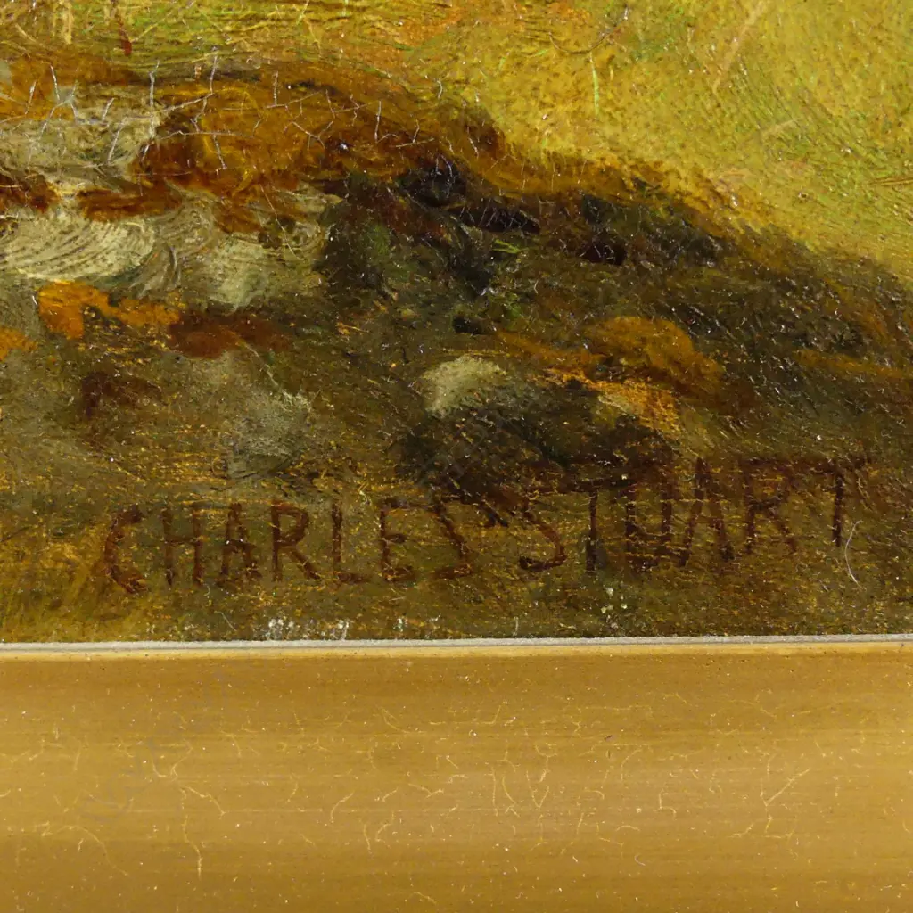 Charles Stuart (1838-c.1907) Image 1++