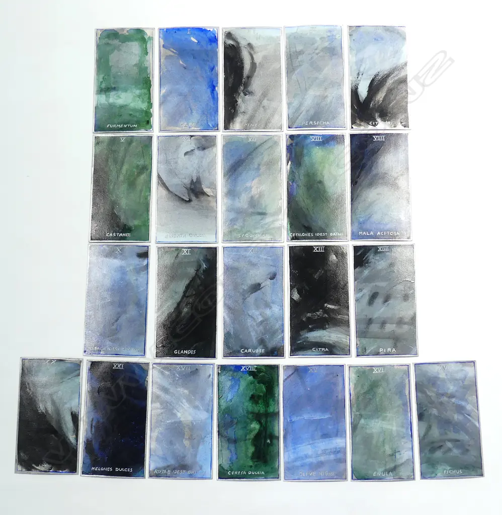 Malcolm Harrison 'Sarcina Obscurus' Image 1++