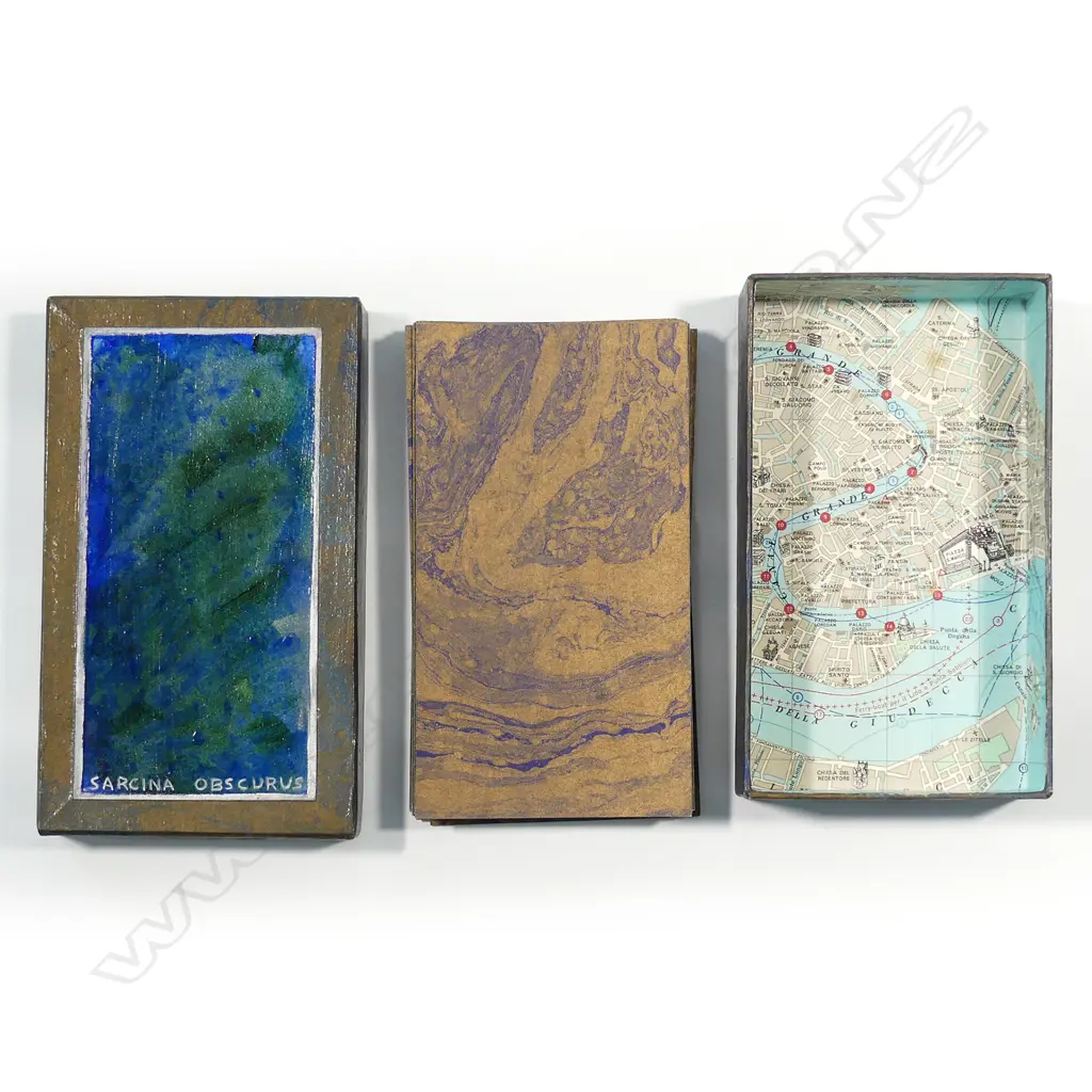 Malcolm Harrison 'Sarcina Obscurus' Image 1++