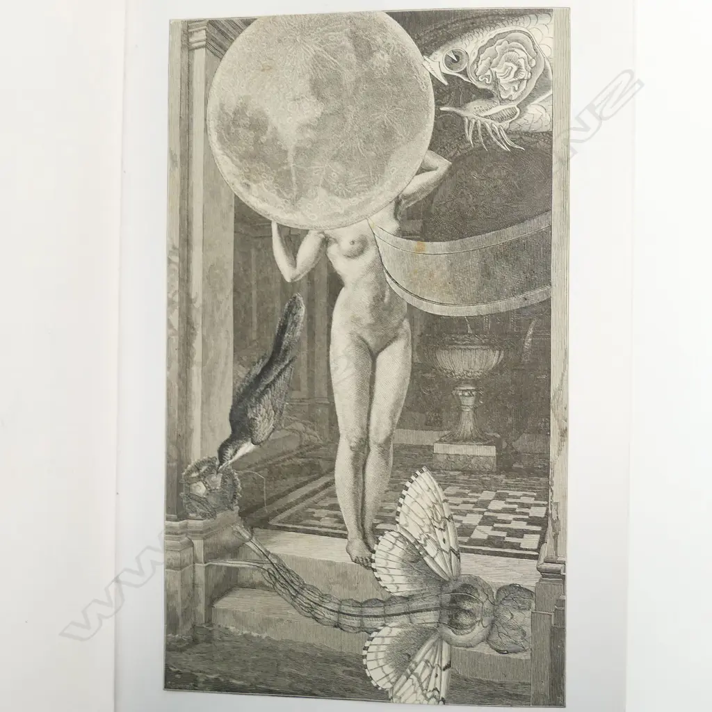 Malcolm Harrison Image 1++