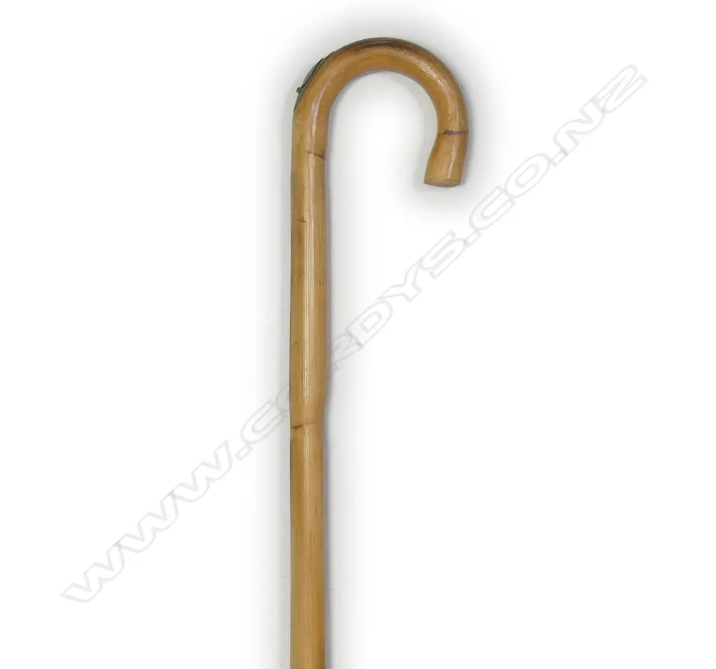 A vintage bamboo horse measuring walking stick Image 1++