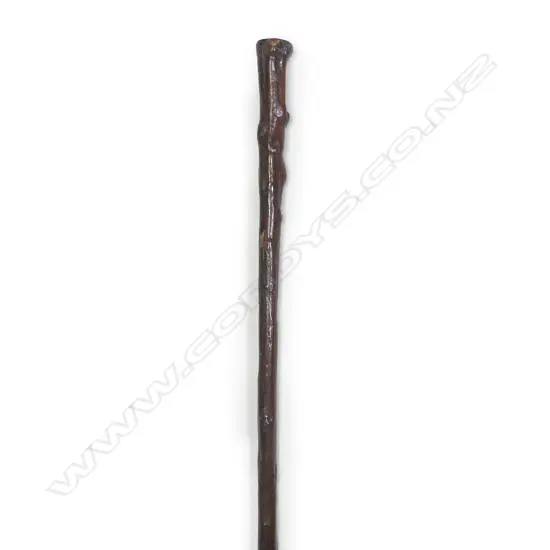 A 19thC briar wood sword walking stick