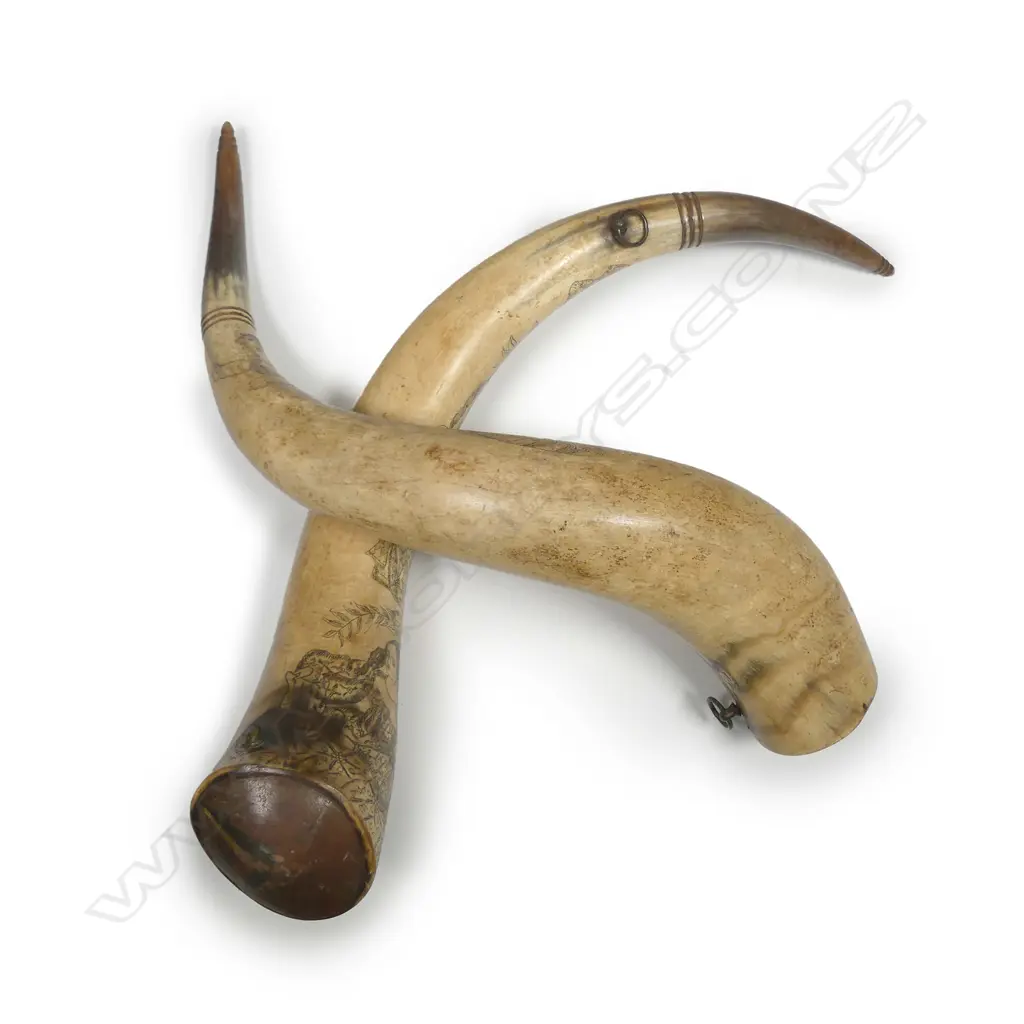 A pair of 19thC Scottish scrimshaw ox horns Image 1++