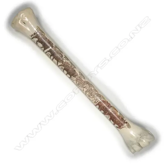 A large scrimshawed giraffe leg bone