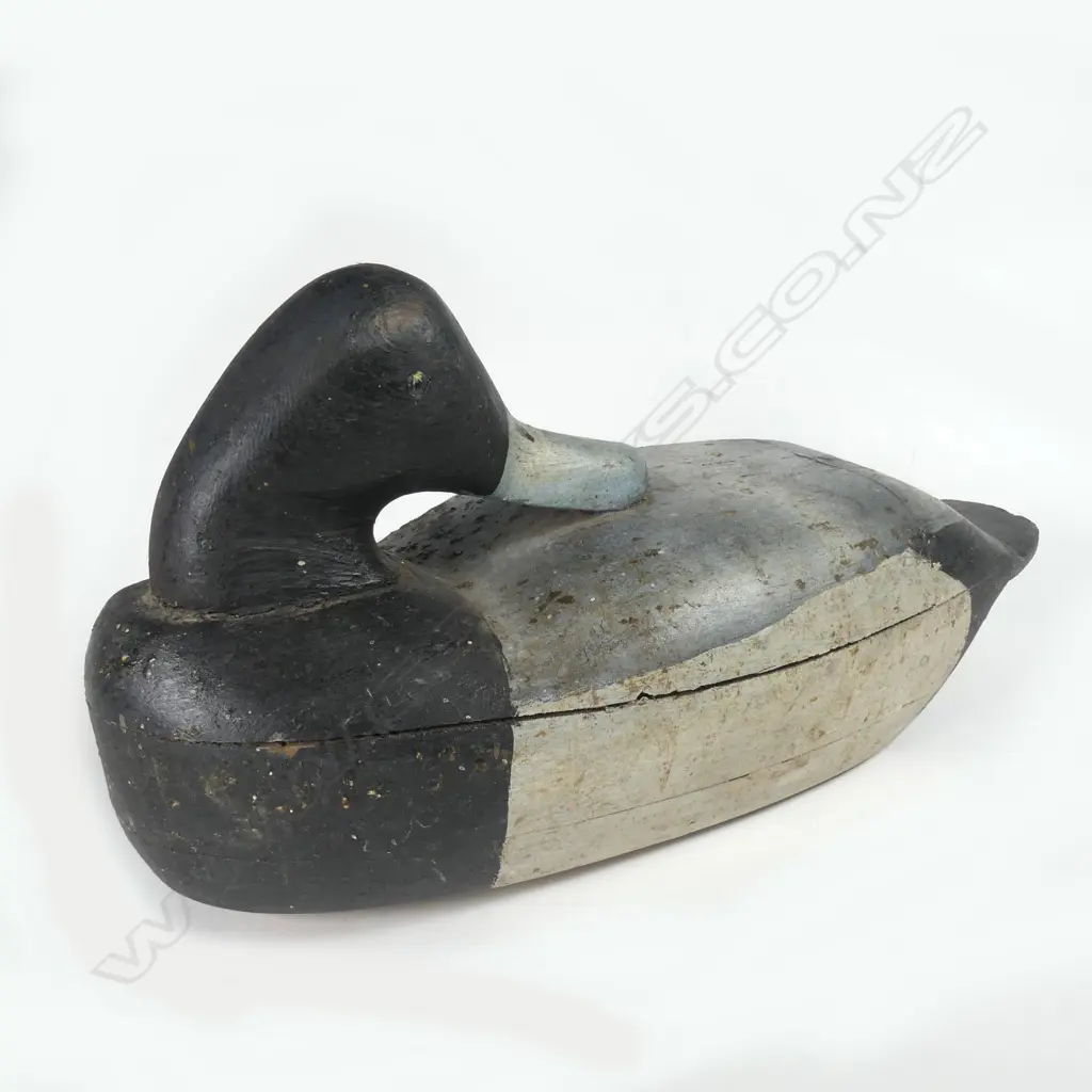 An uncommon 12½" hand-made wooden Blue Bill duck decoy Image 1++