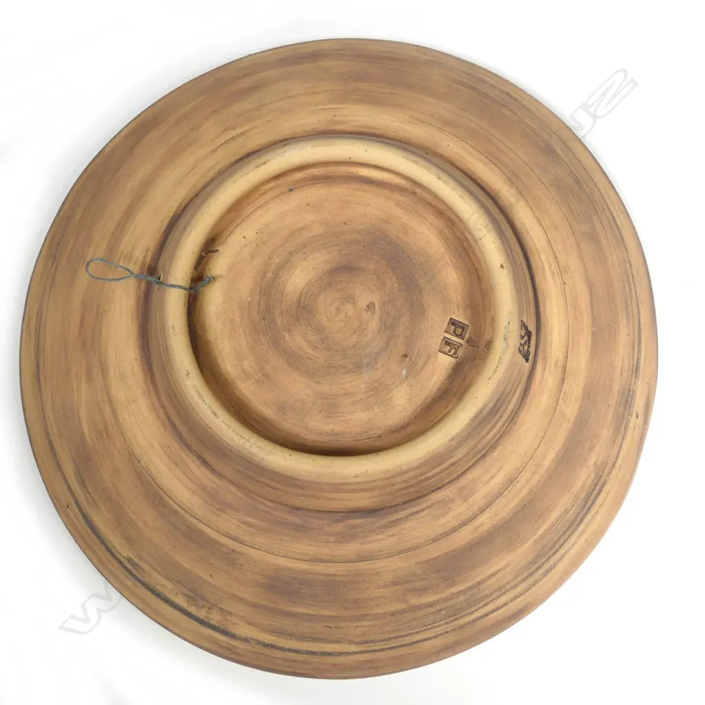 A wall dish by Steven Scholefield (Rocket Pottery) Image 1++
