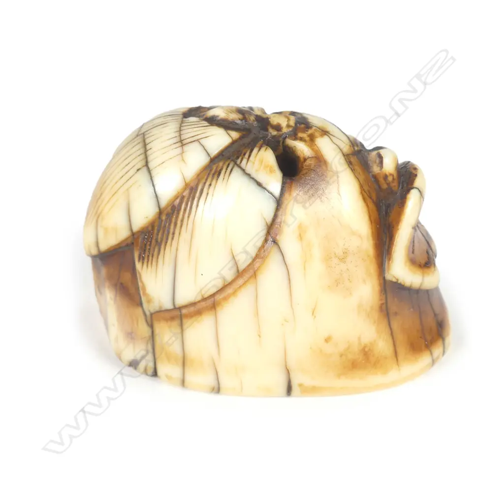 An old Japanese carved ivory lotus netsuke Image 1++
