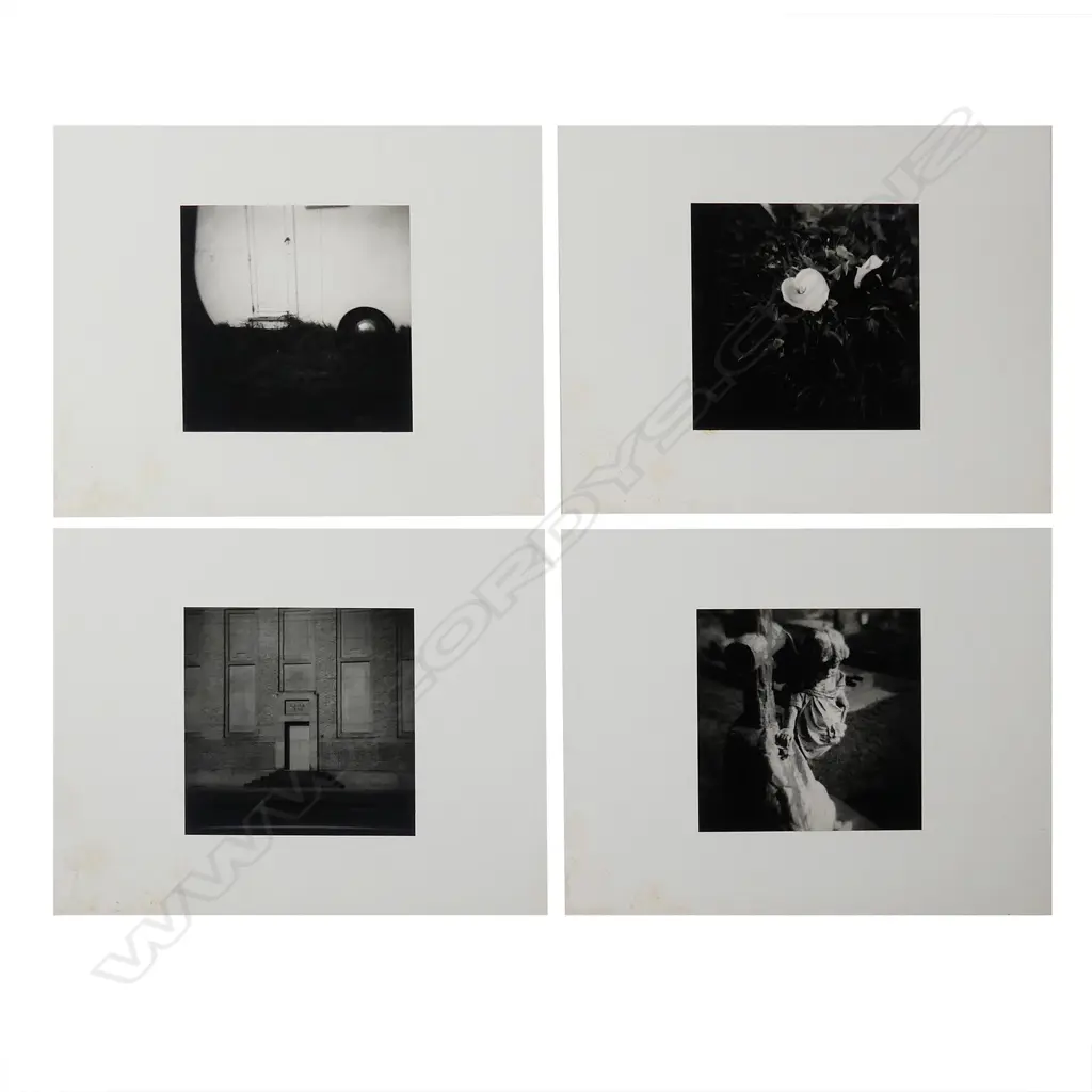 Peter Peryer (1941-2019) 'Gone Home' Image 1++