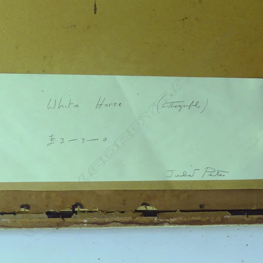 Juliet Peter Image 1++