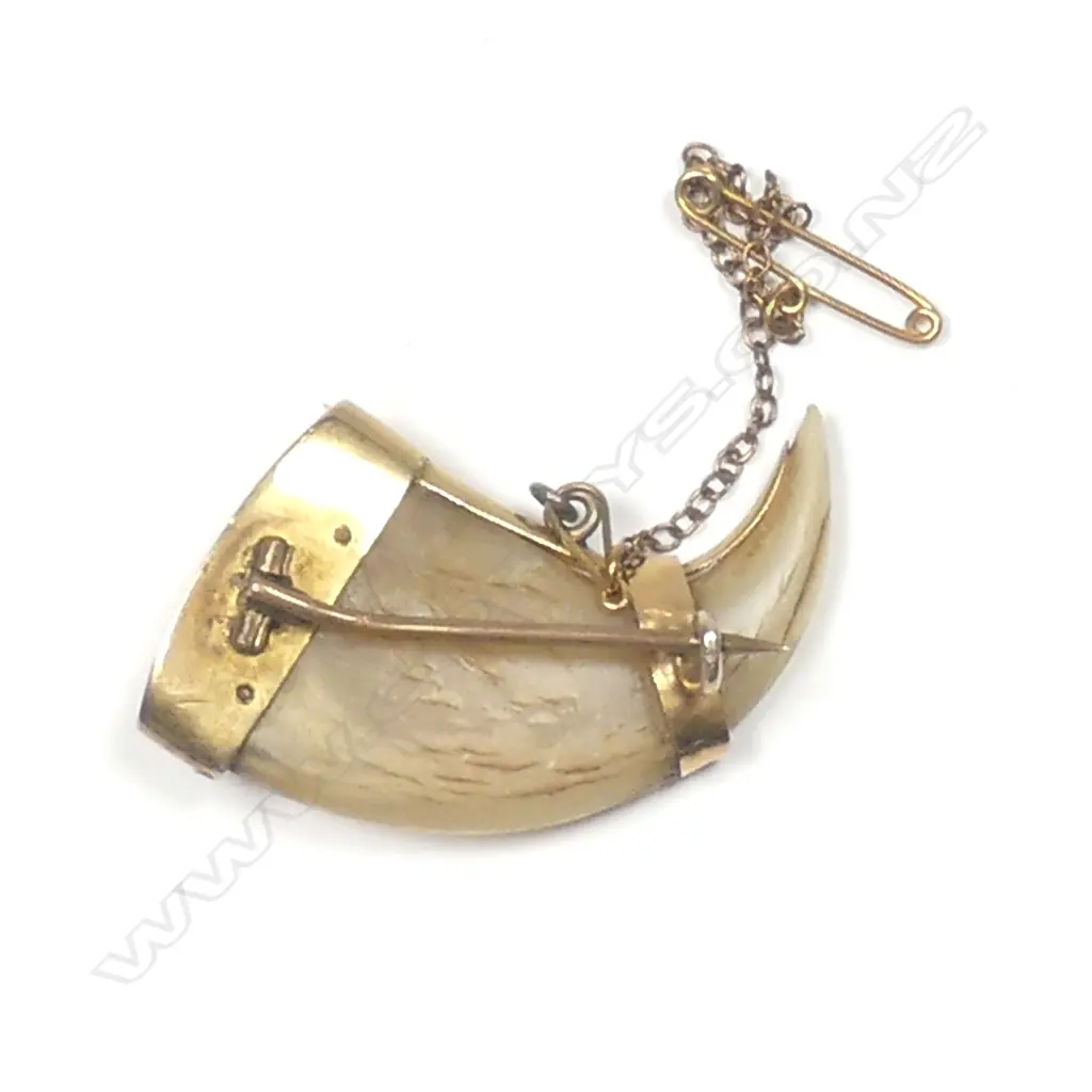 A late 19thC gold mounted tiger's claw brooch Image 1++