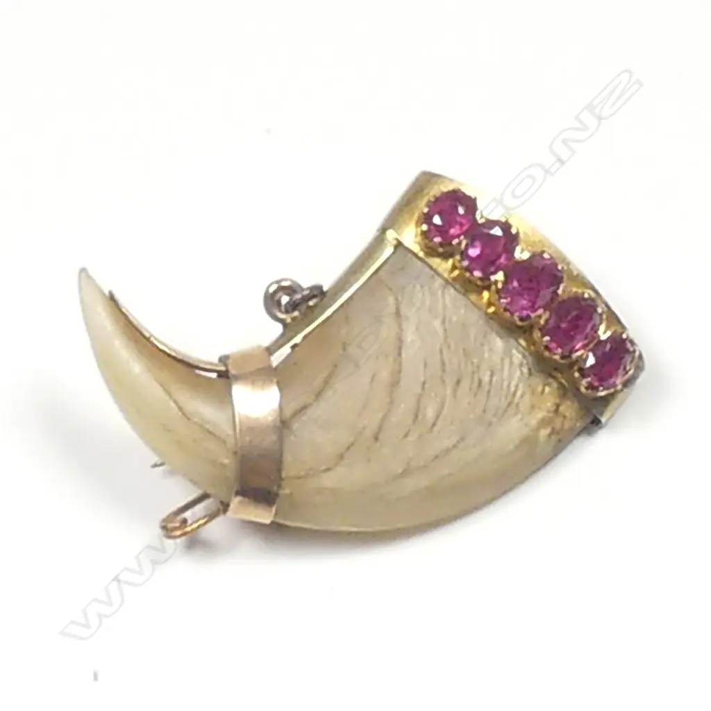 A late 19thC gold mounted tiger's claw brooch Image 1++