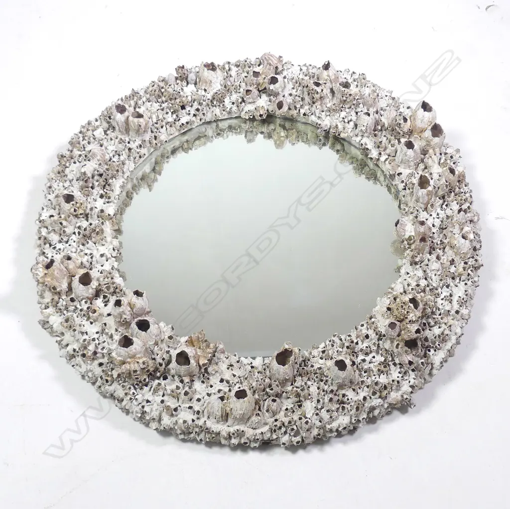 A large circular barnacle framed mirror Image 1++