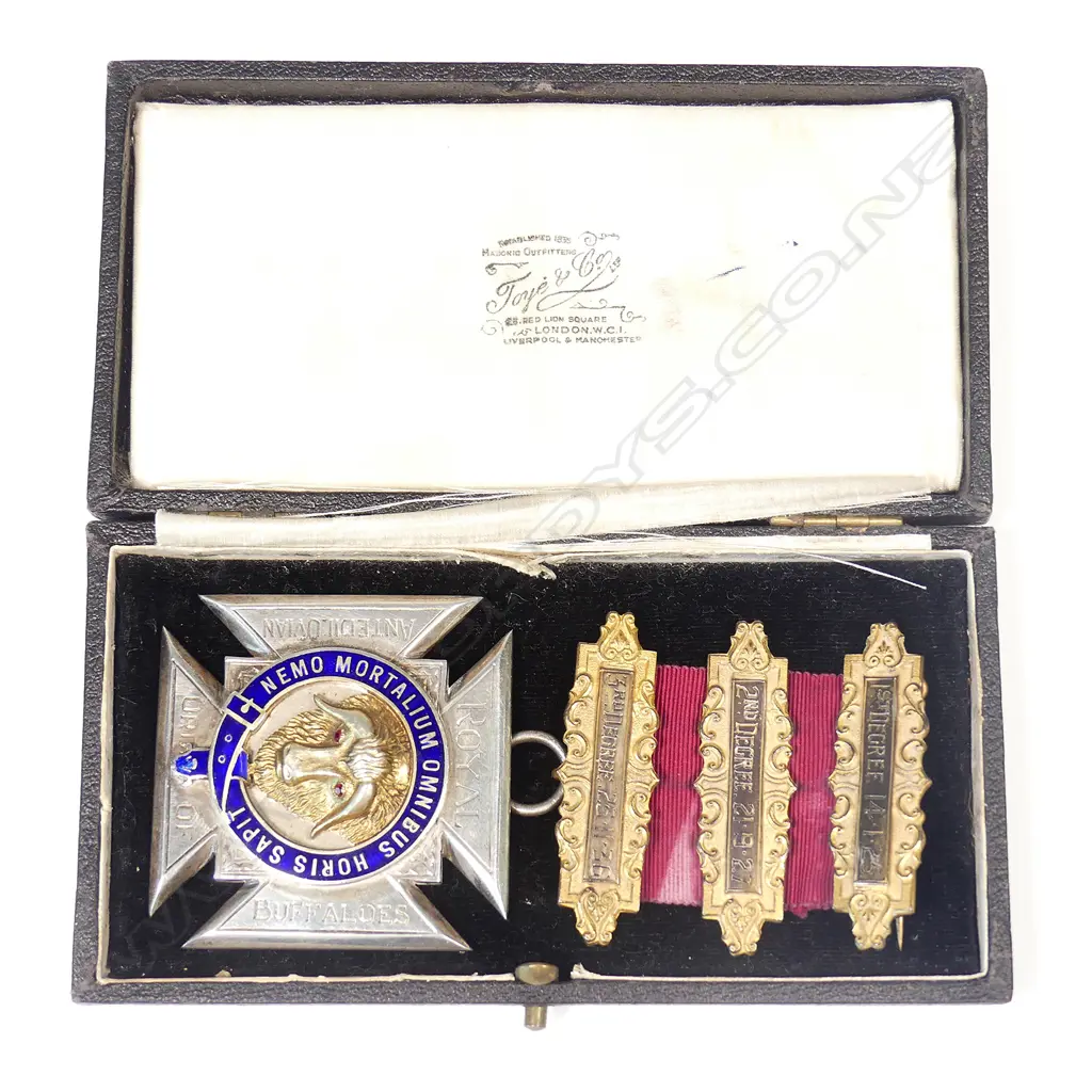 A large RAOB silver gilt and enamel lodge jewel Image 1++