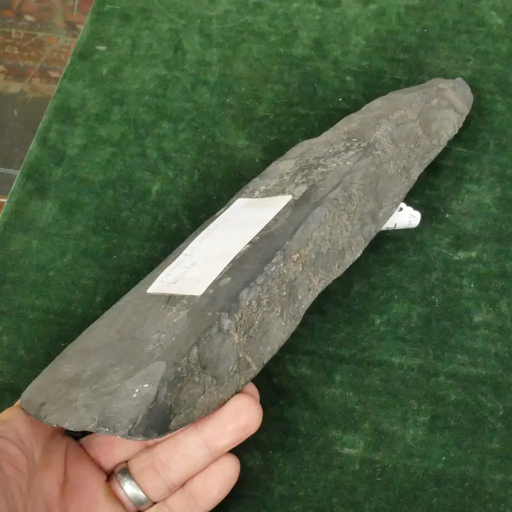 A large pre-European Maori stone toki (adze) Image 1++