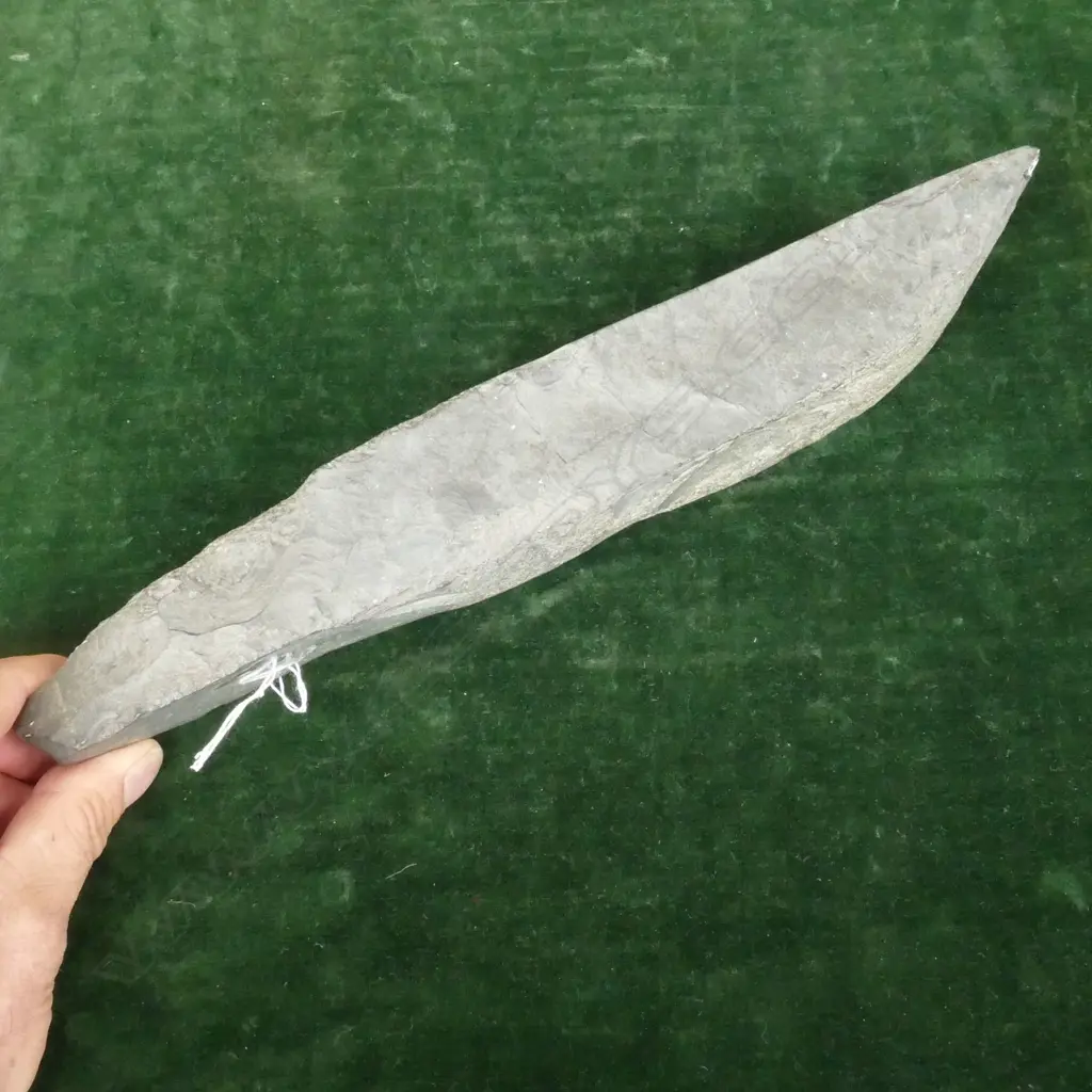 A large pre-European Maori stone toki (adze) Image 1++