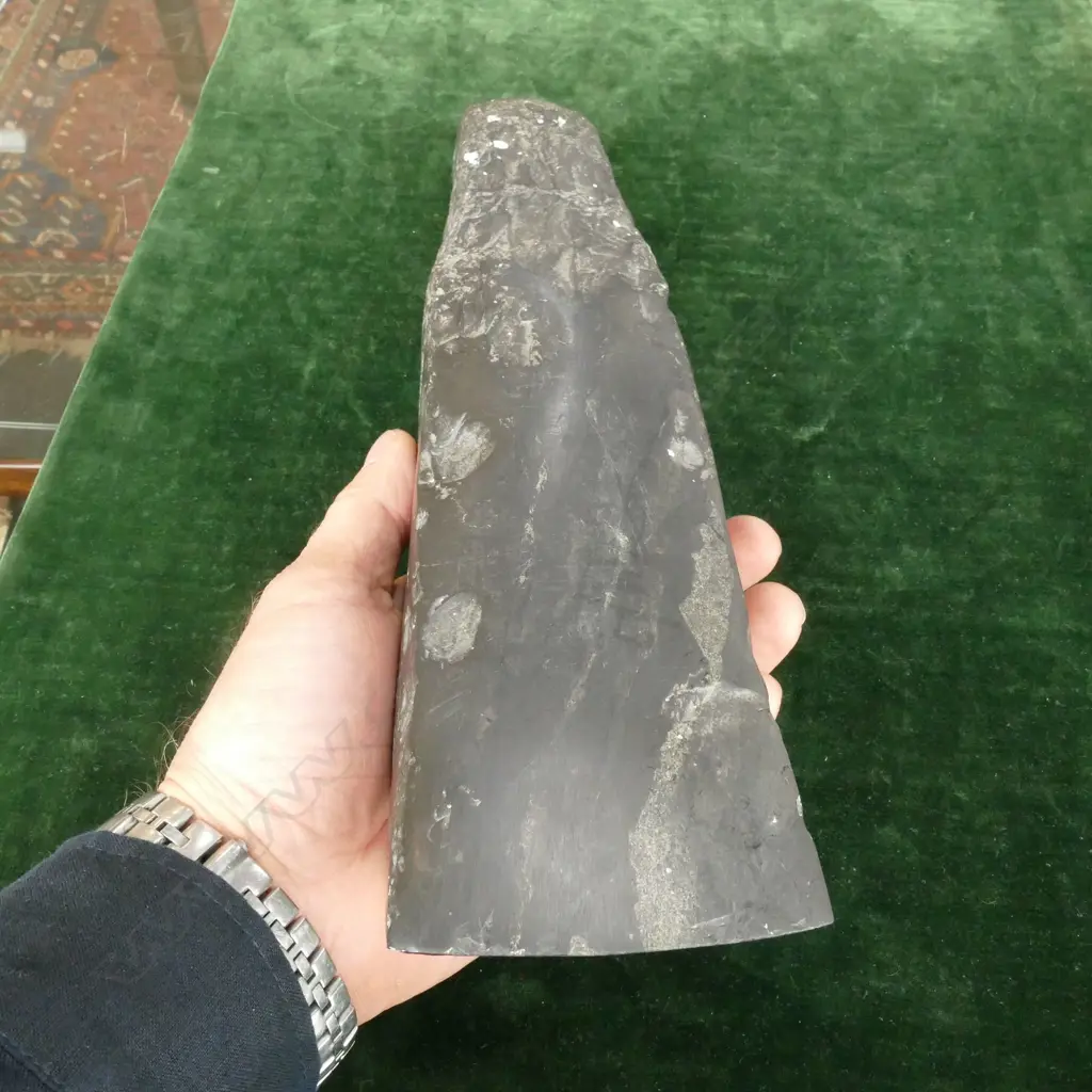 A large and impressive pre-European black basalt toki (adze) Image 1++
