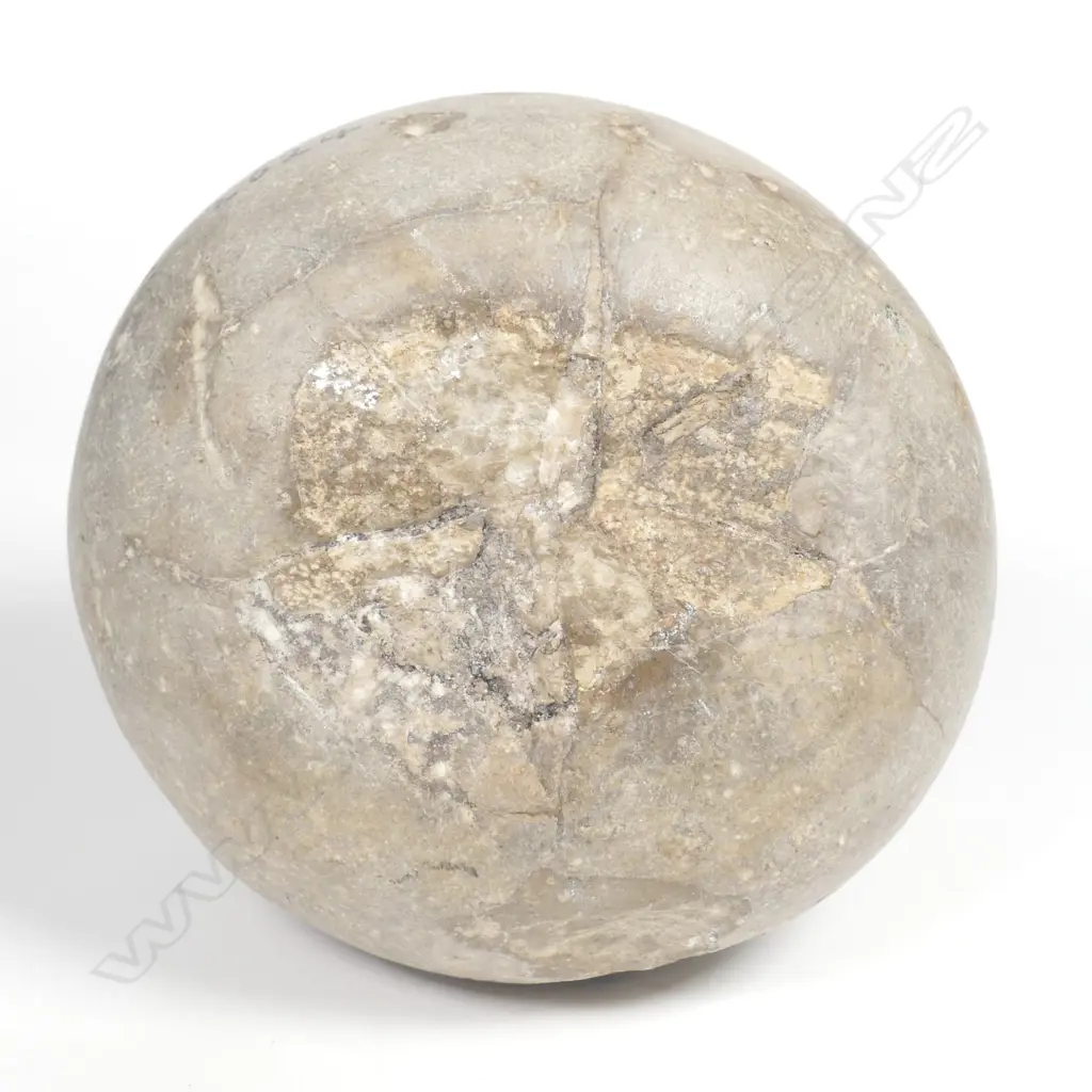 An old Maori notch topped stone sinker Image 1++