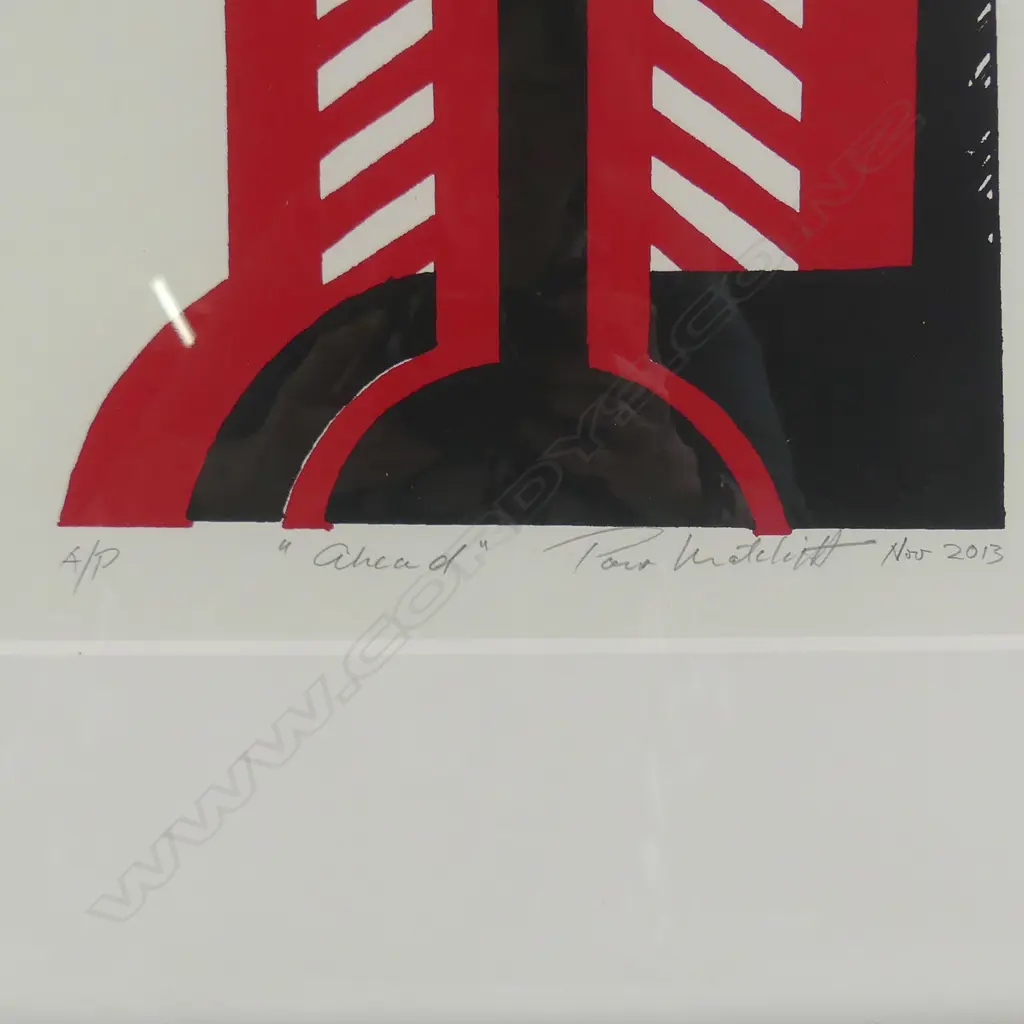 Paratene Matchitt Image 1++