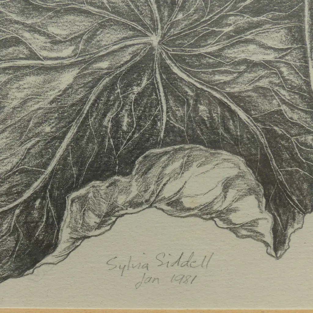 Sylvia Siddell (1941-2011) Image 1++