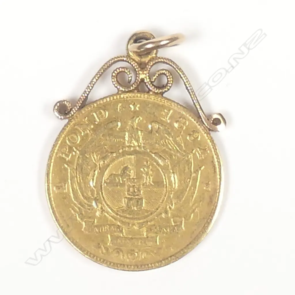 South African gold 1 pond Image 1++