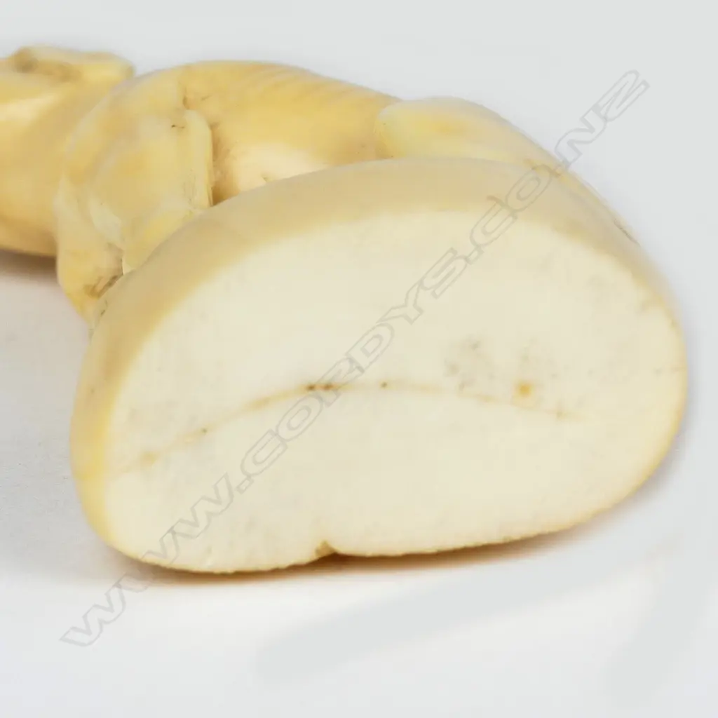 A 19thC marine ivory carving of a seated hound Image 1++