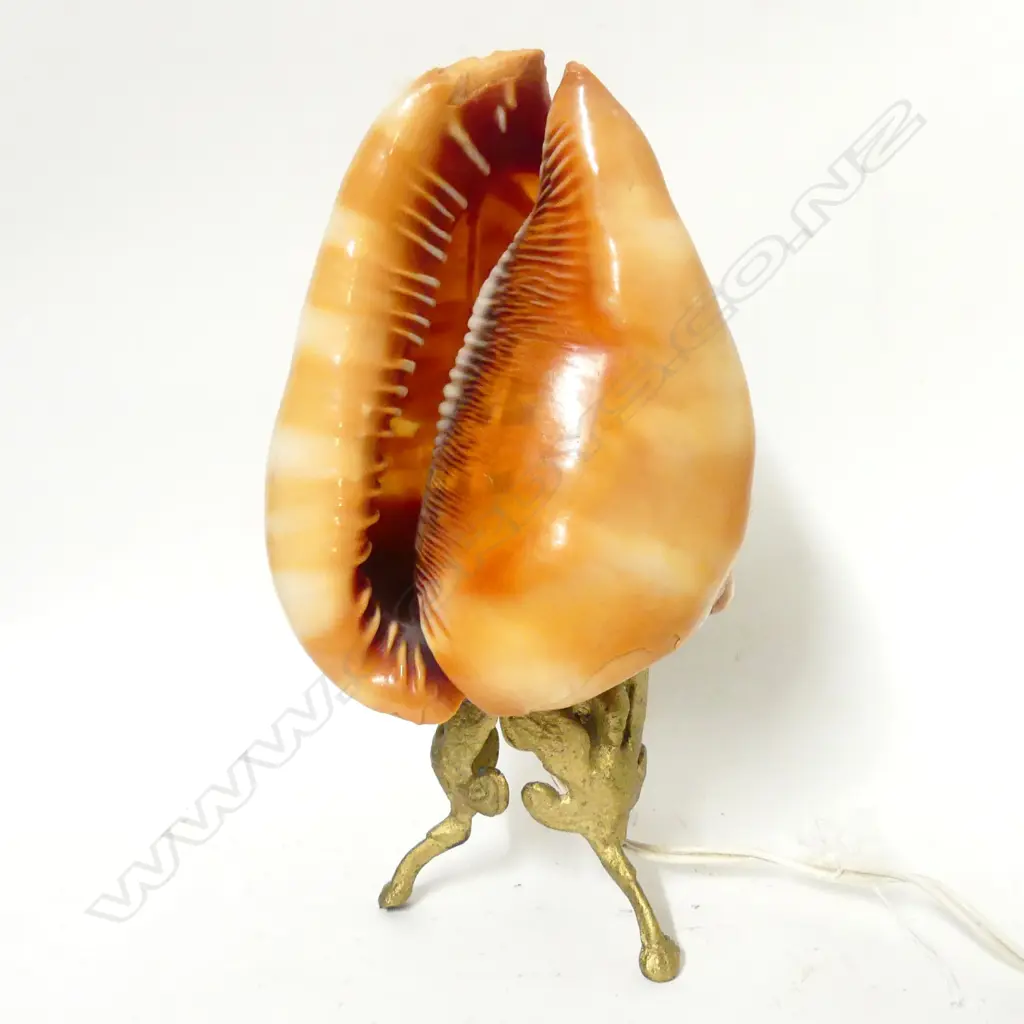 A vintage cameo shell lamp Image 1++