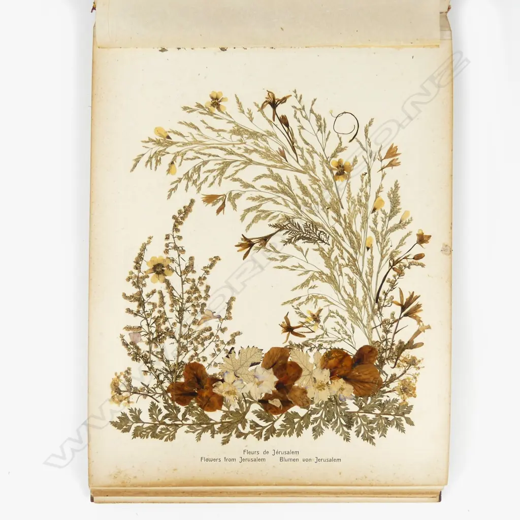 An olive wood souvenir album from Jerusalem Image 1++