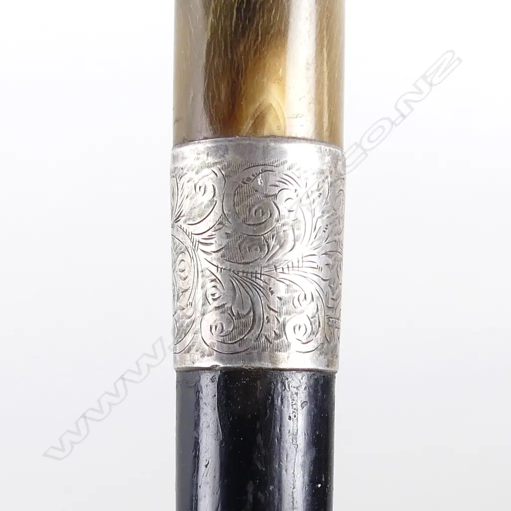 A horn handled walking stick Image 1++