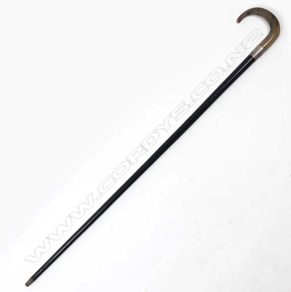 A horn handled walking stick Image 1++