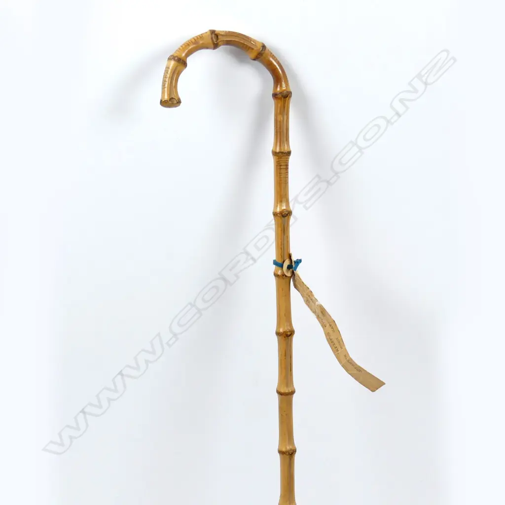 A Whangee cane Image 1++