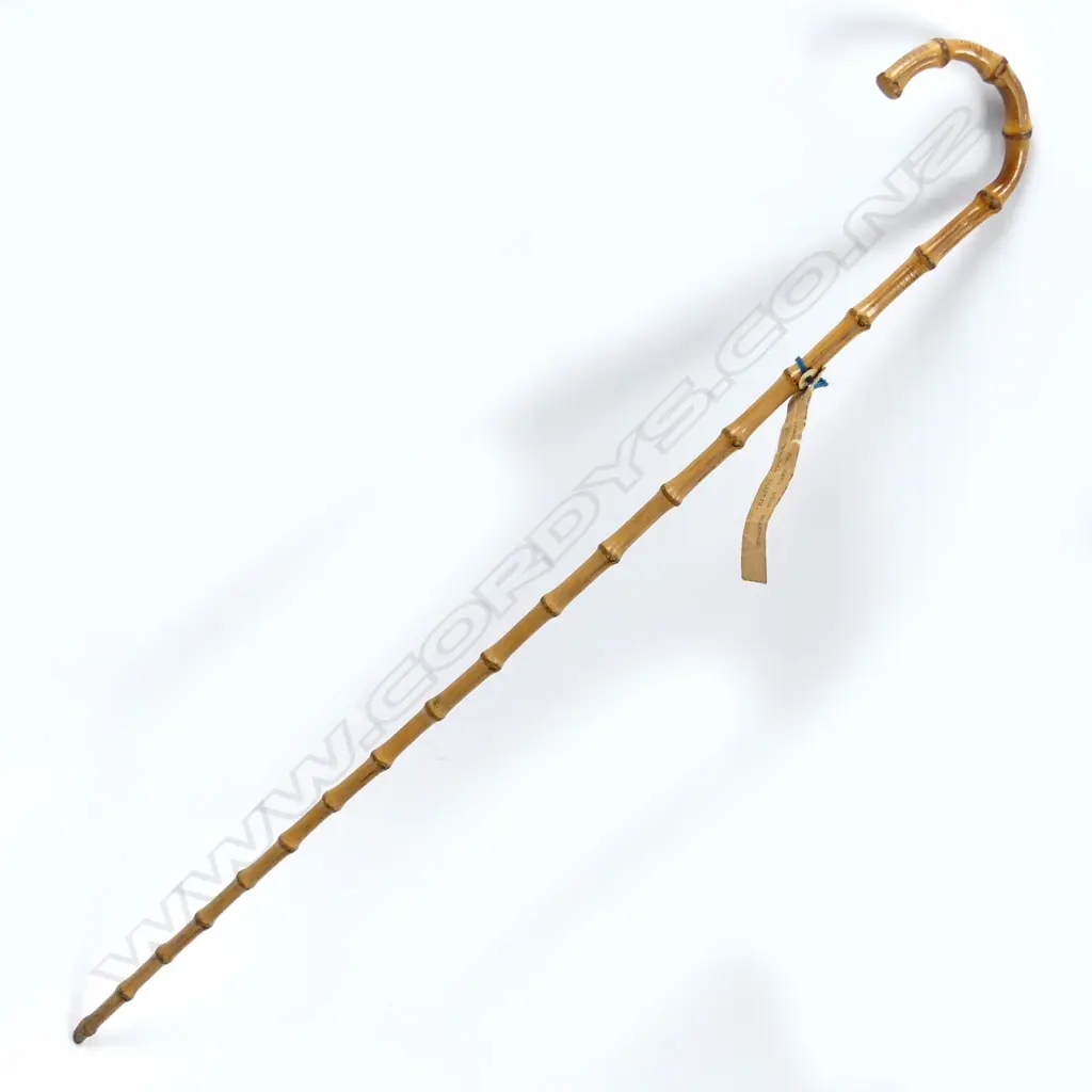 A Whangee cane Image 1++