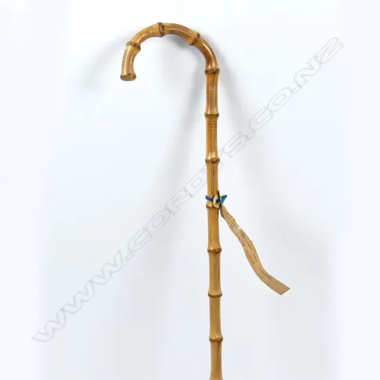 A Whangee cane