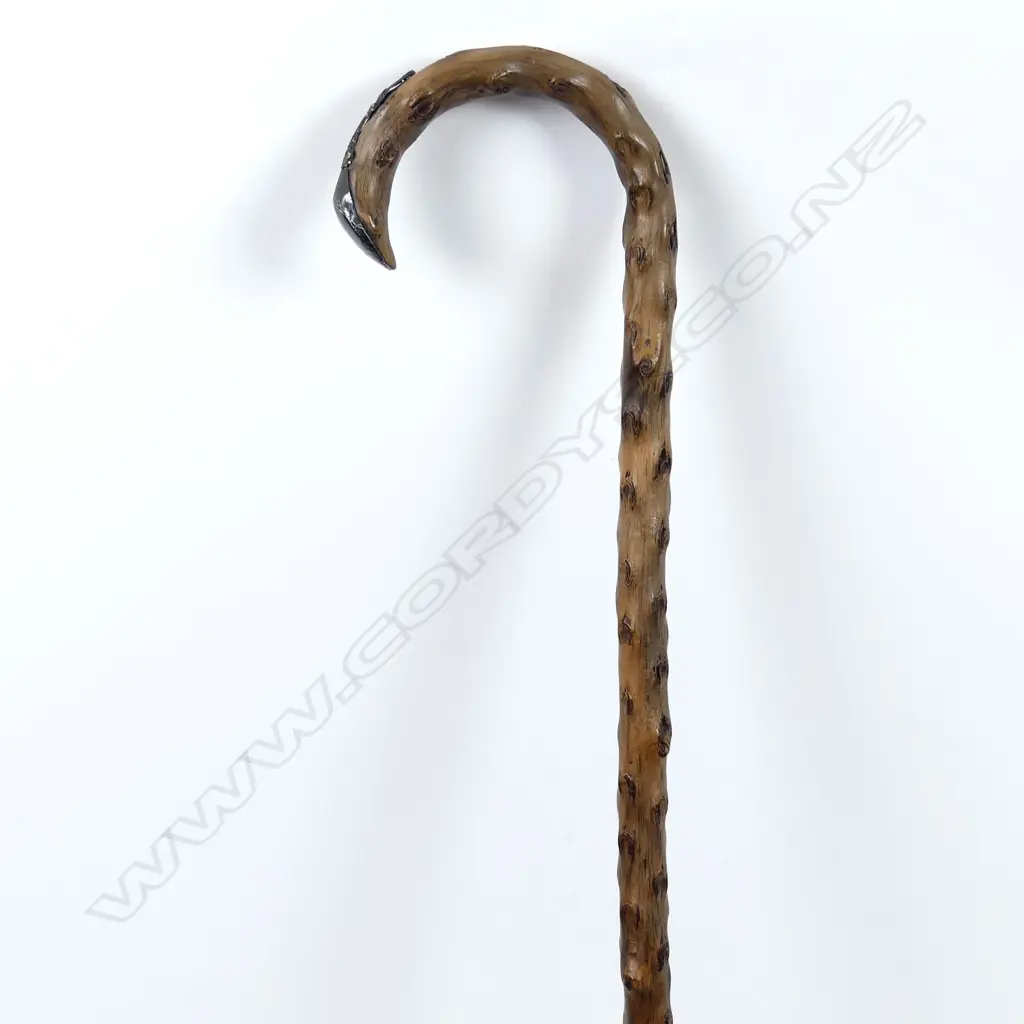 A blackthorn walking stick Image 1++