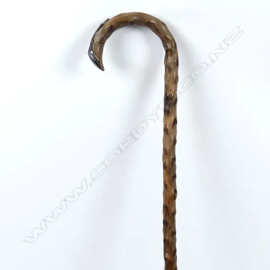 A blackthorn walking stick