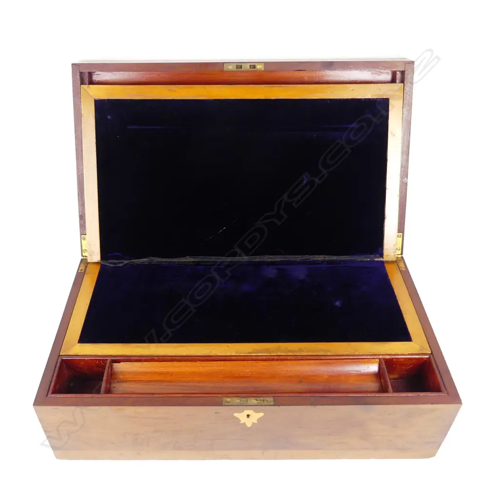 A New Zealand native timbers writing slope Image 1++