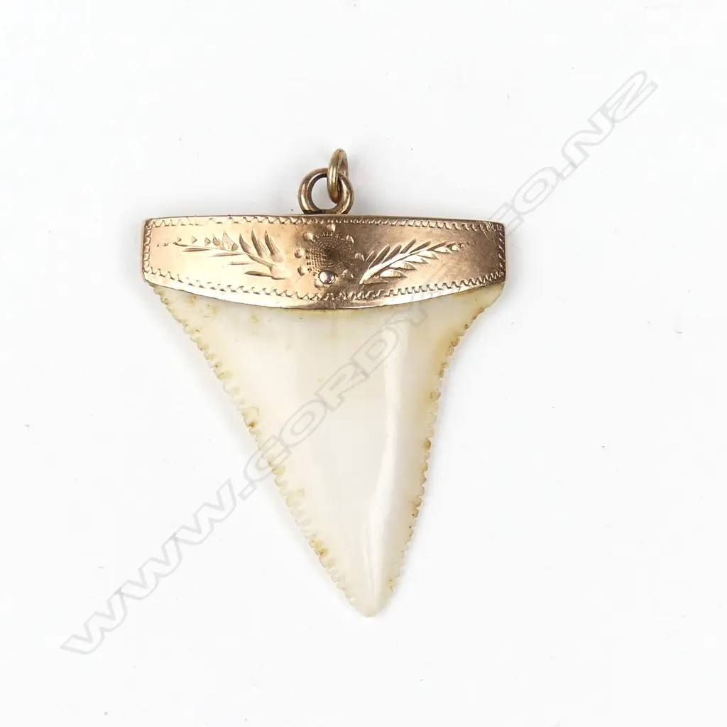 A 9ct rose gold and shark tooth pendant Image 1++