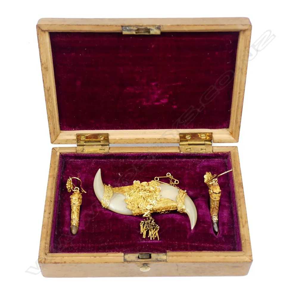 A c.1900 fancy high carat gold mounted double tiger's claw brooch and earring set Image 1++