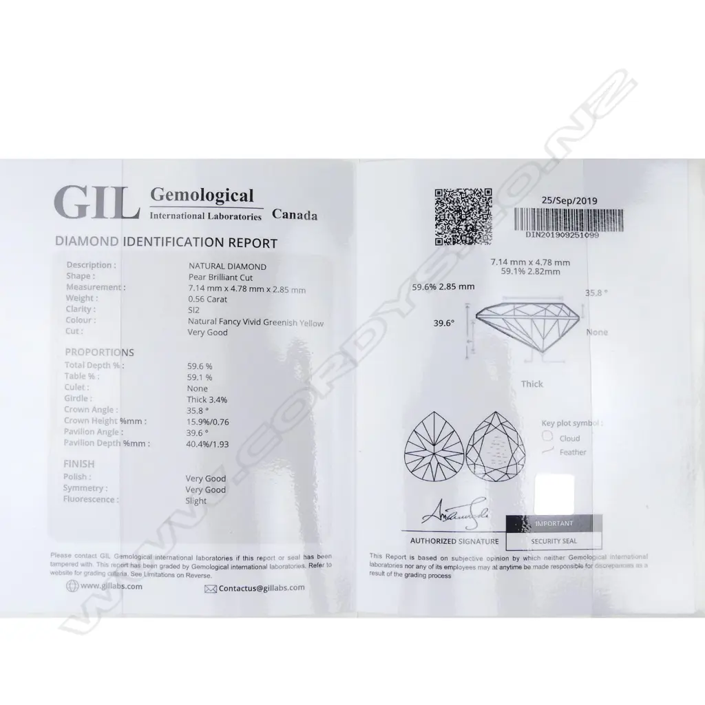 An unset pear cut diamond Image 1++