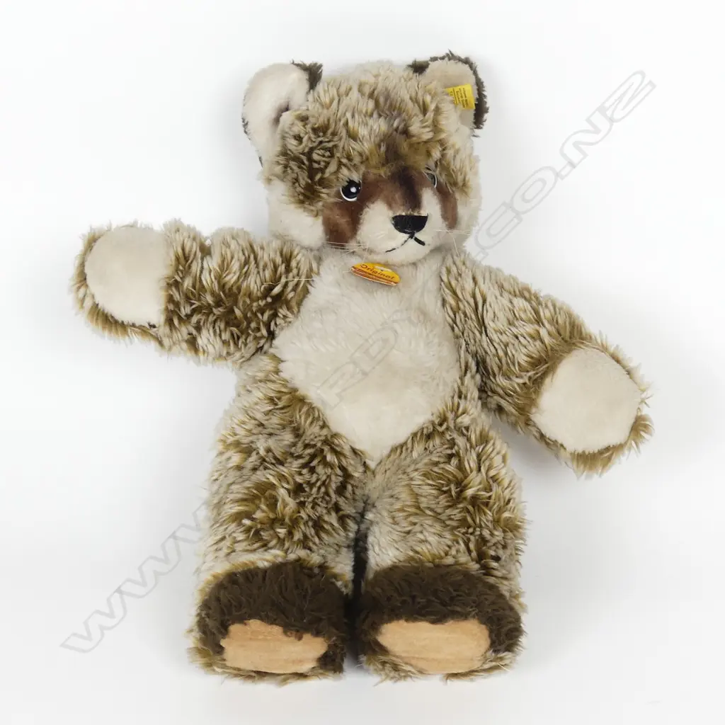 A vintage Steiff raccoon Image 1++