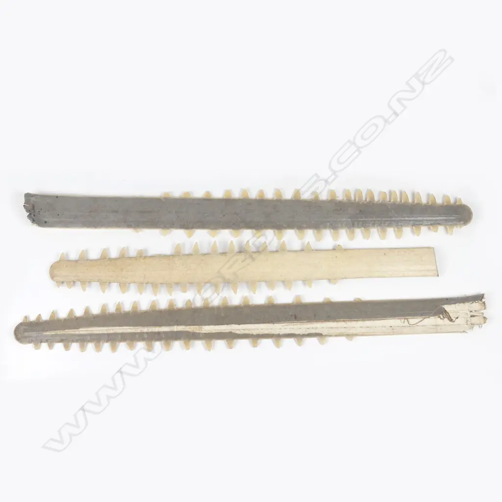 Three sawfish bills (rostrums) Image 1++