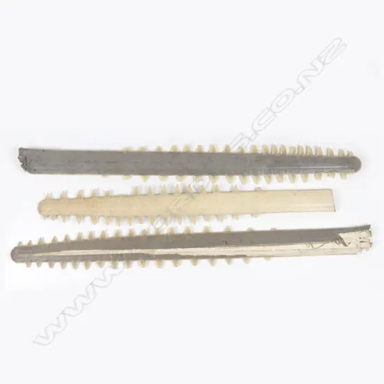 Three sawfish bills (rostrums)