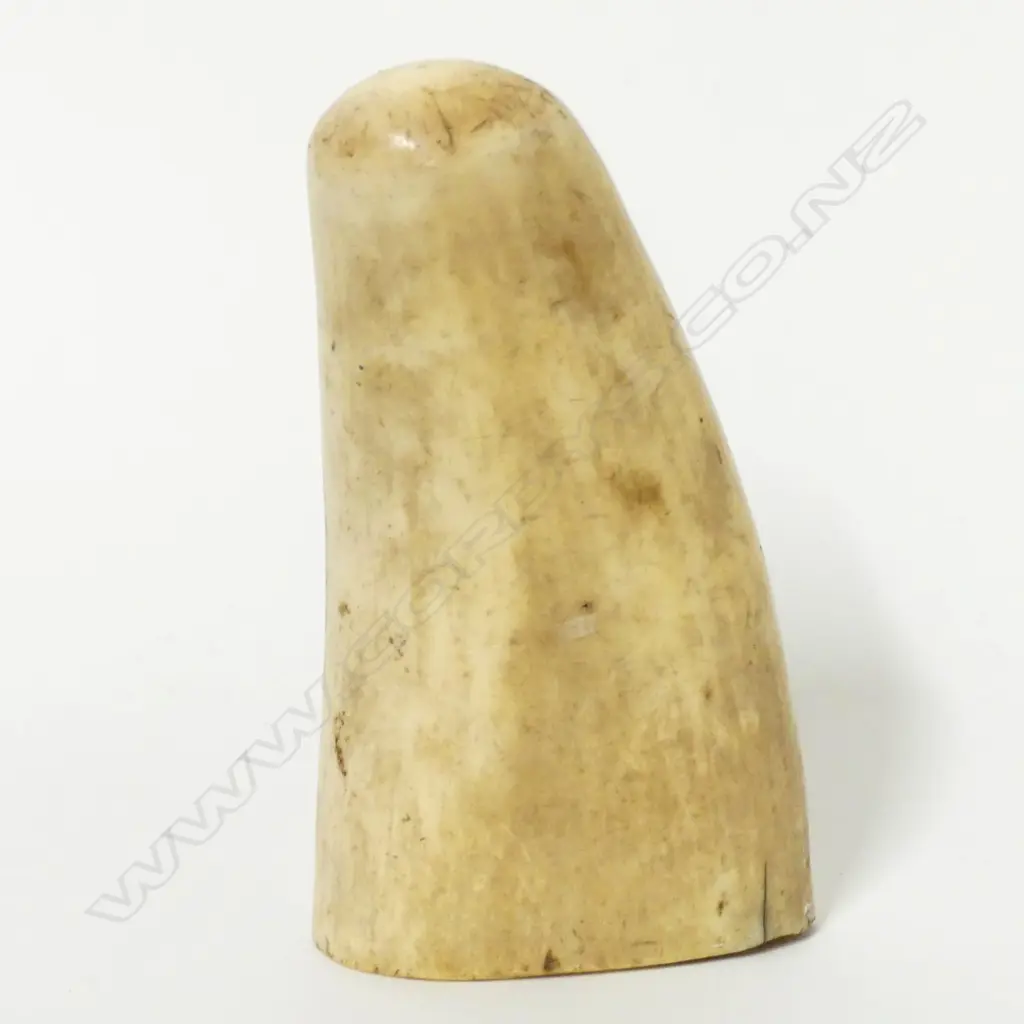 An old tooth with scrimshaw decoration Image 1++