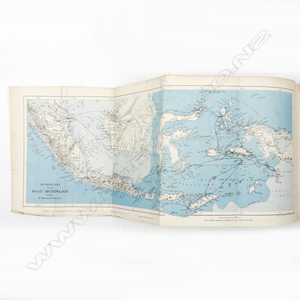 A rare and desirable 2nd edition - 'The Malay Archipelago: Image 1++