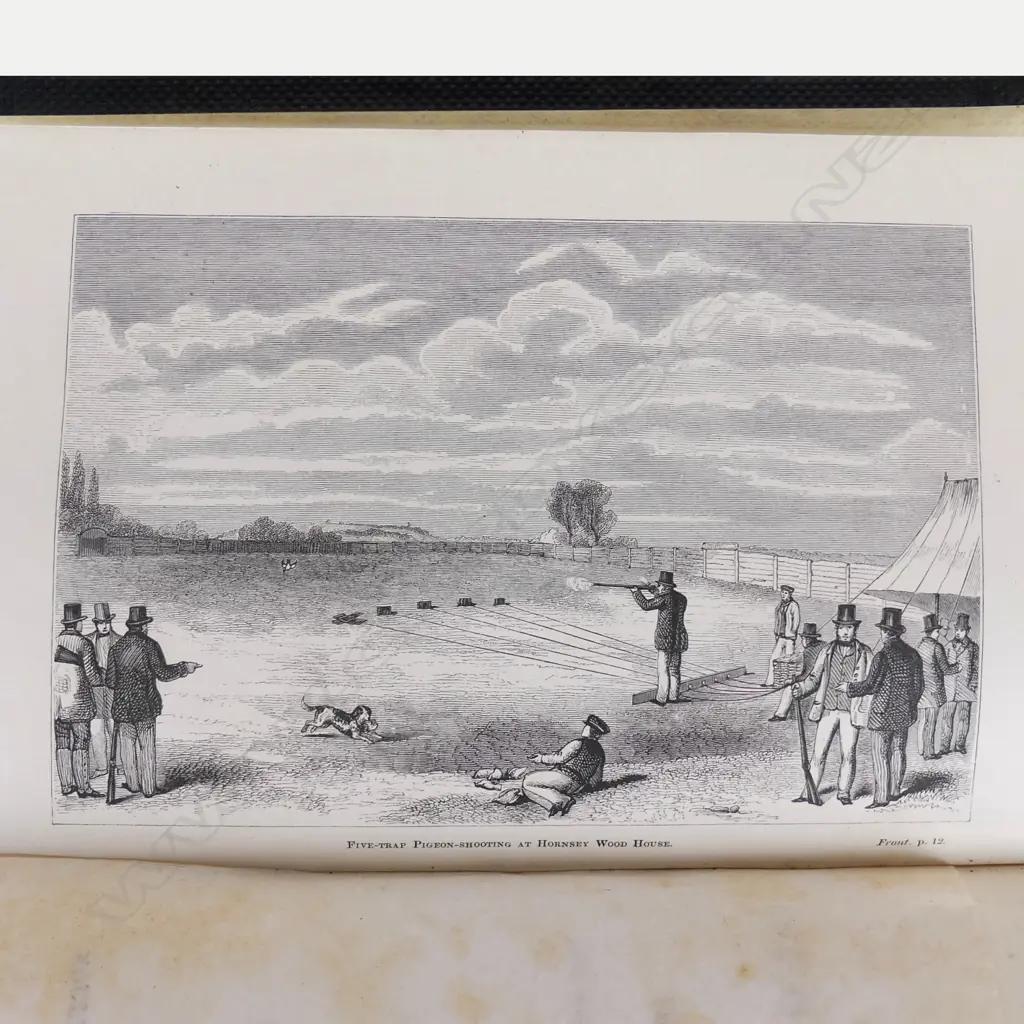'The Shot-Gun and Sporting Rifle' Image 1++
