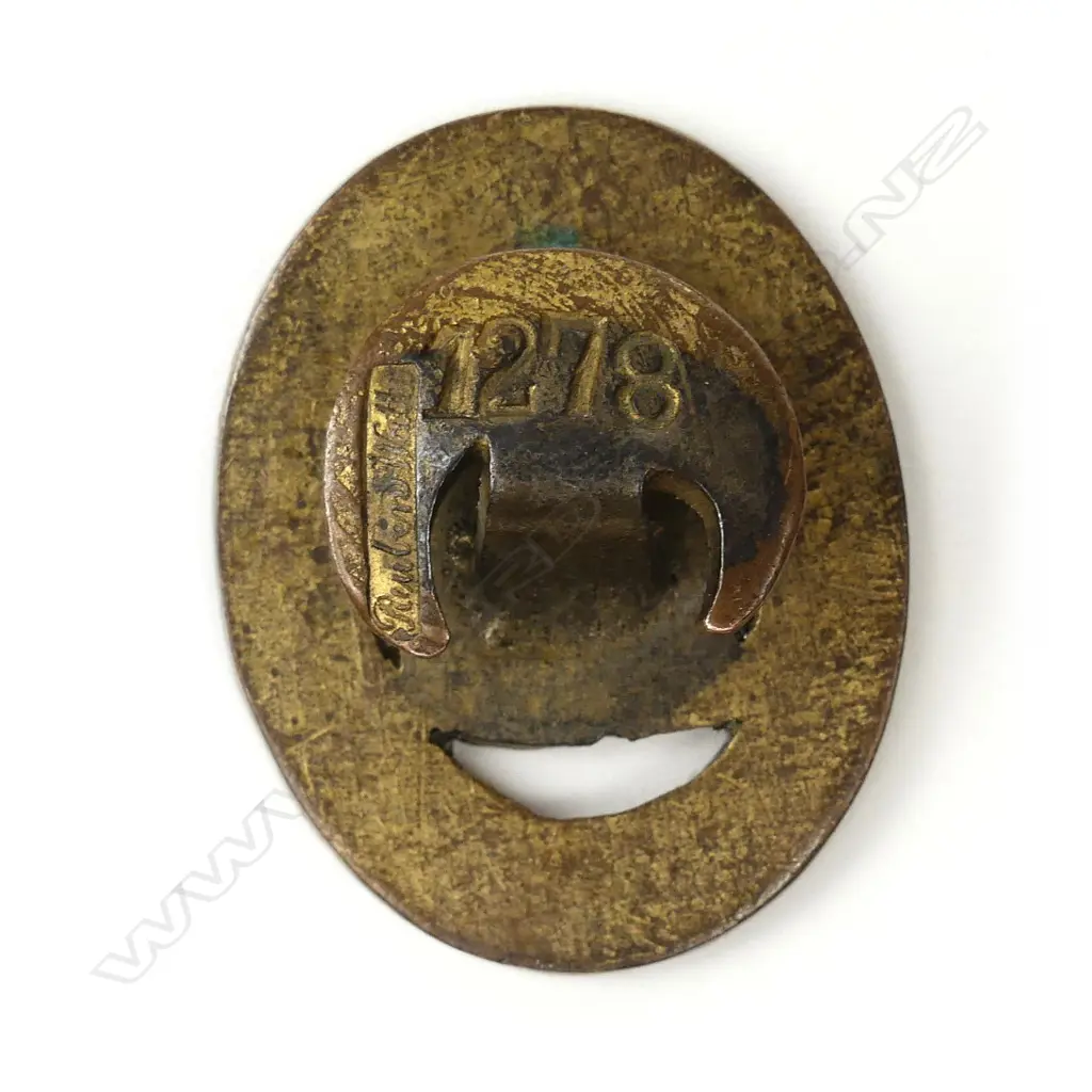 Reuben Watts gilt brass and enamel Auckland N.Z. National Reserve badge Image 1++